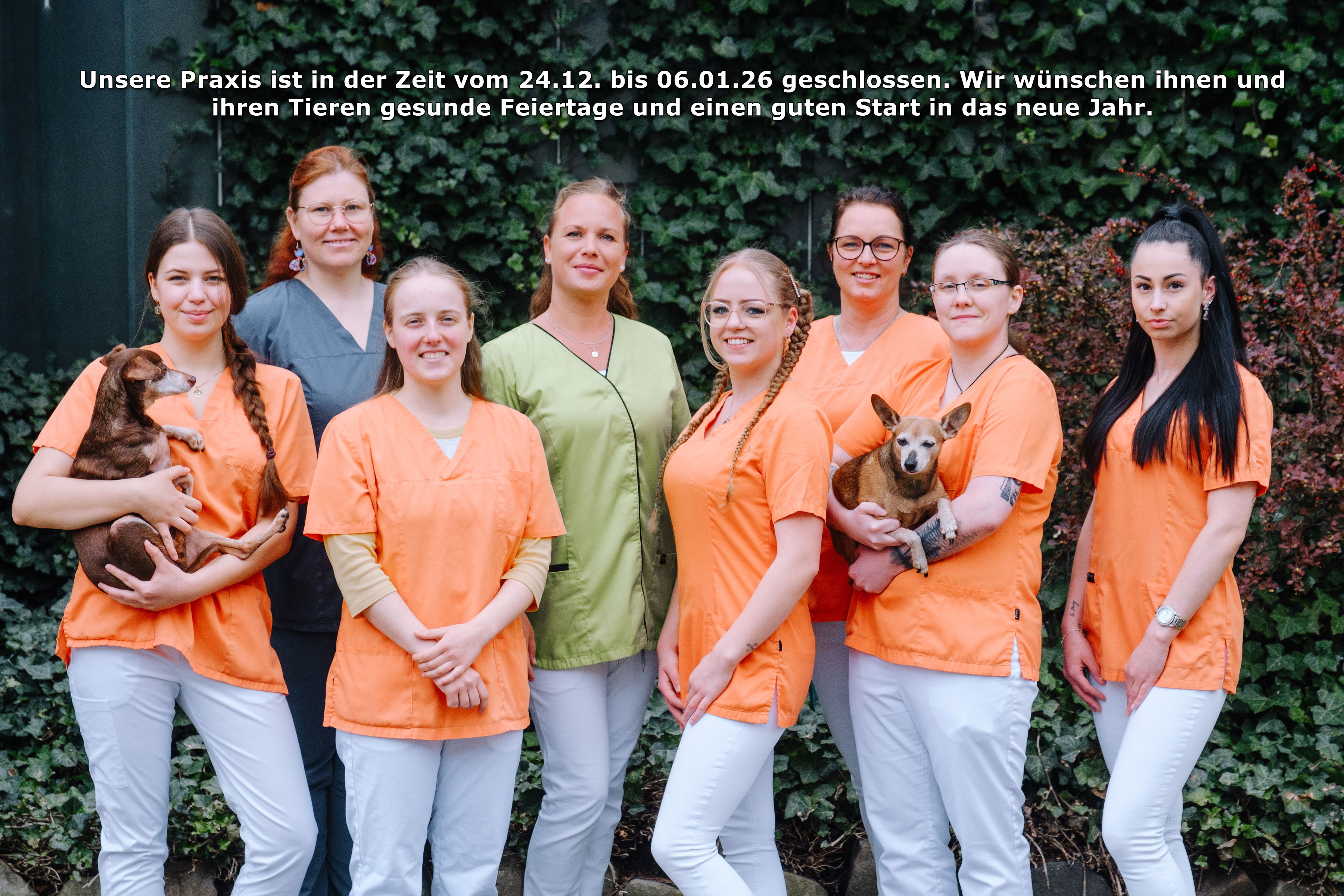 Unser Team als Gruppenbild